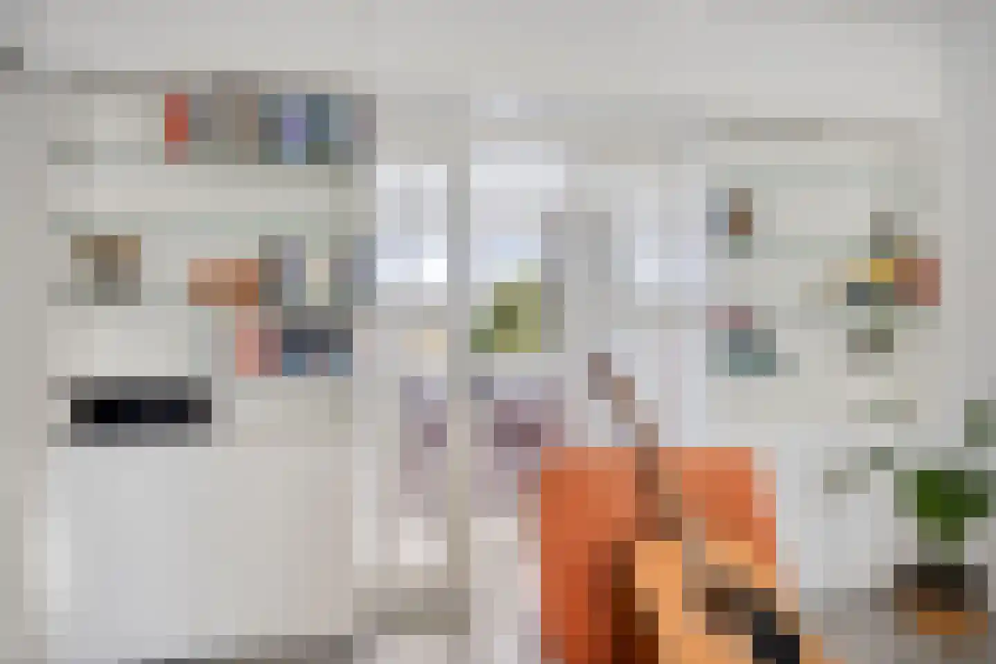 Loggerhof 149 Amsterdam thumbnail 15