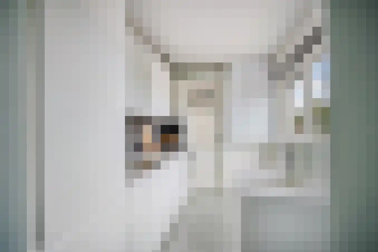 Loggerhof 149 Amsterdam thumbnail 20