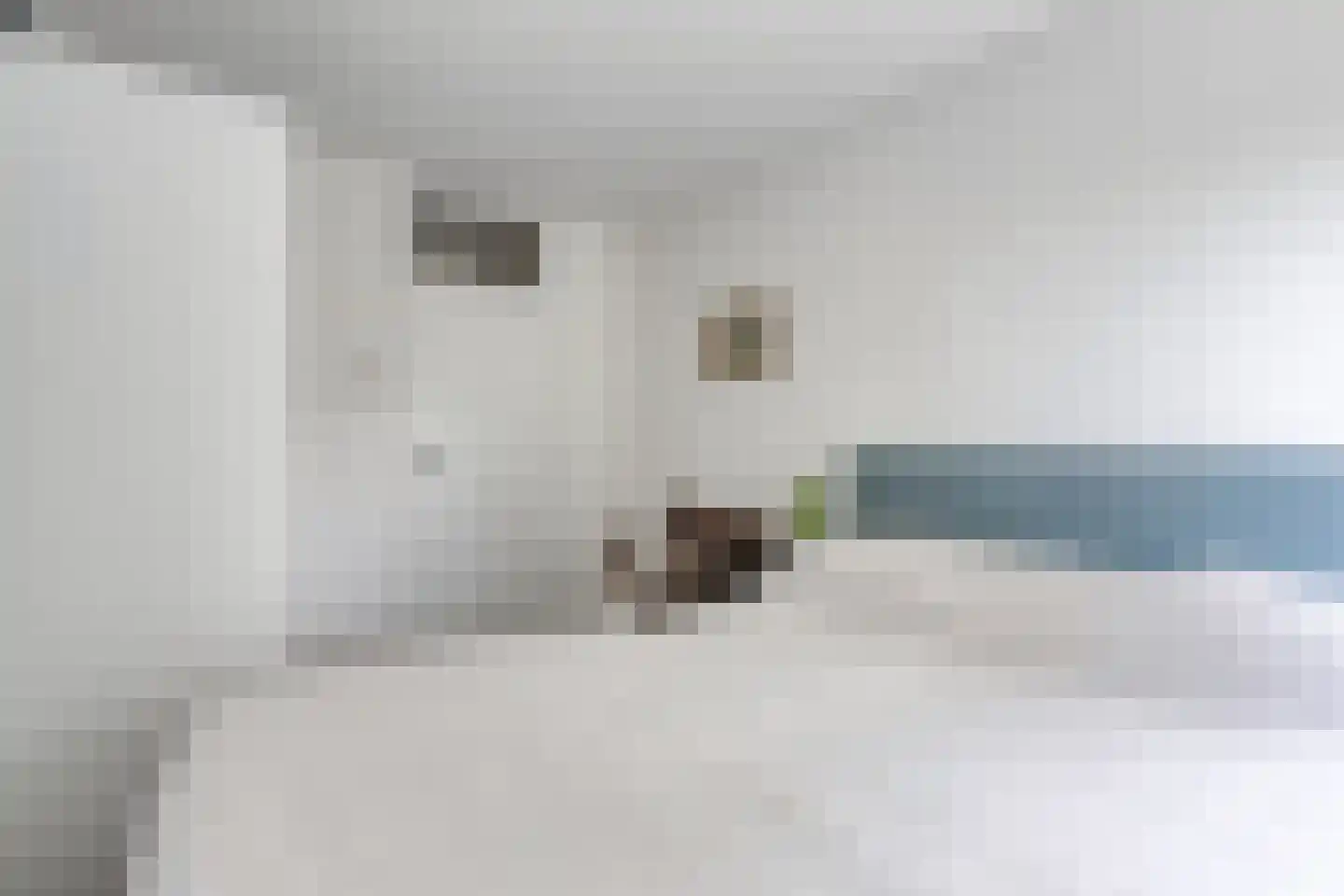 Loggerhof 149 Amsterdam thumbnail 27