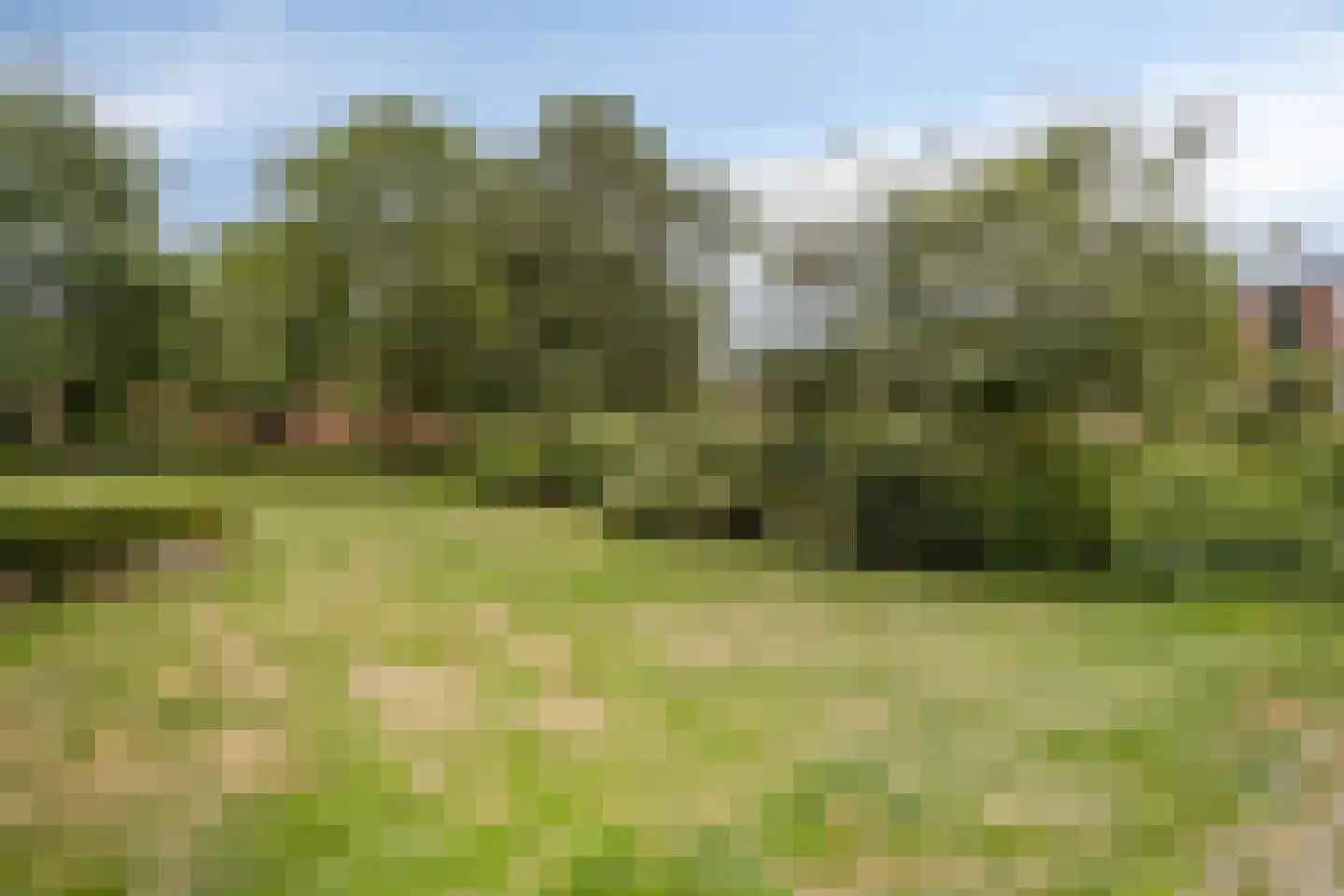 Loggerhof 149 Amsterdam thumbnail 37