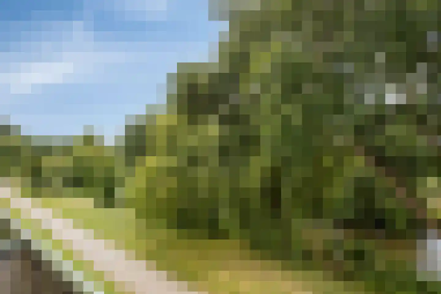 Loggerhof 149 Amsterdam thumbnail 5