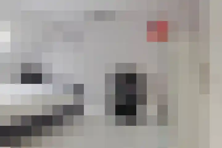 Loggerhof 18 Rozenburg thumbnail 14