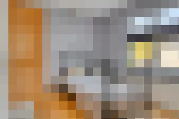 Loggerhof 18 Rozenburg thumbnail 18