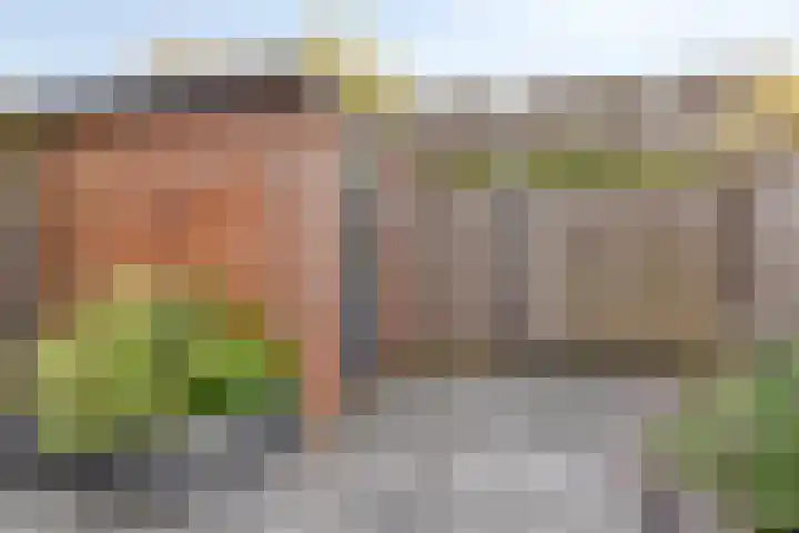 Loggerhof 18 Rozenburg thumbnail 25