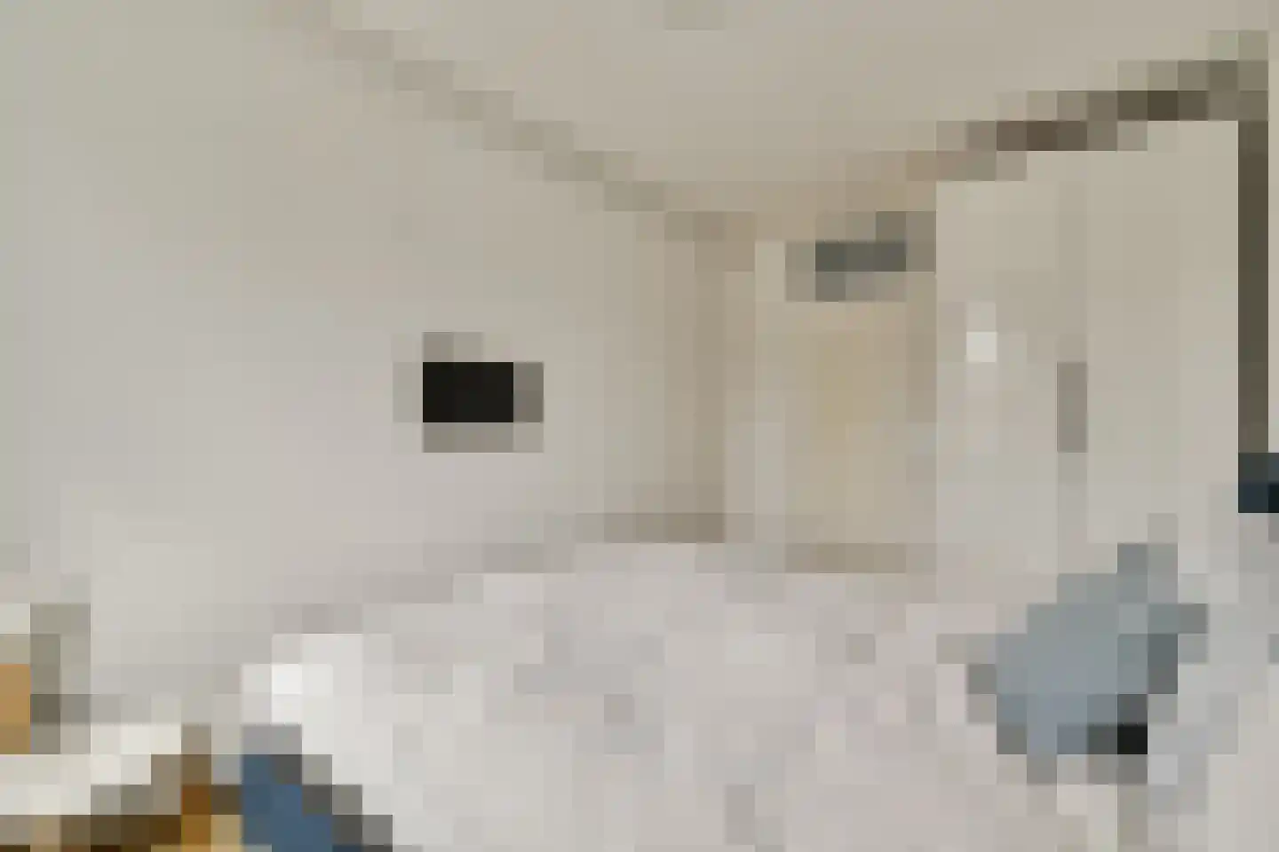 Loggerhof 33 Amsterdam thumbnail 13