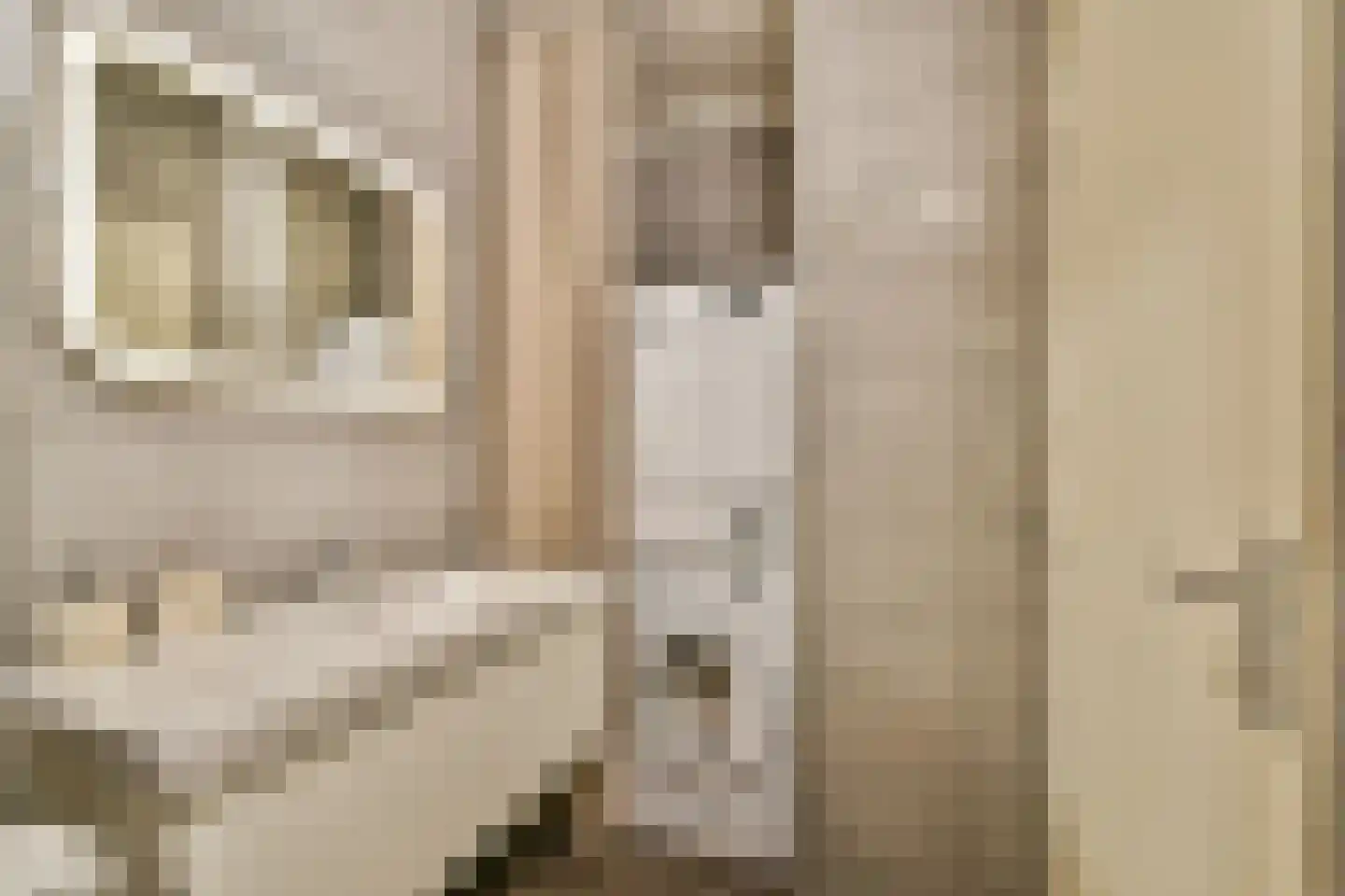 Loggerhof 33 Amsterdam thumbnail 15