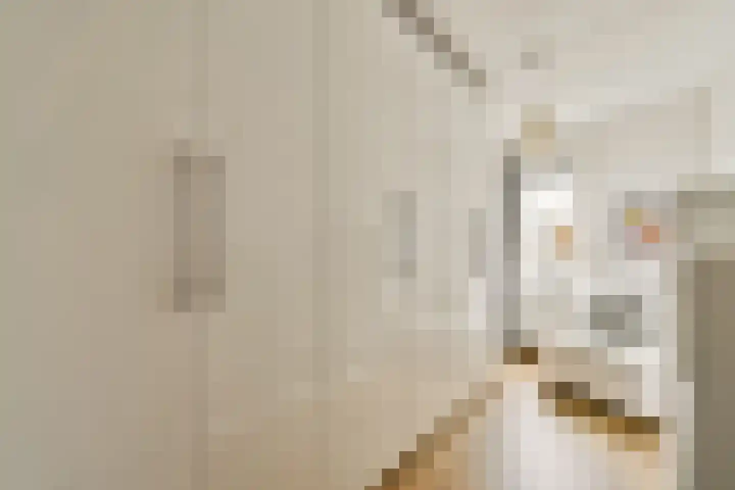 Loggerhof 33 Amsterdam thumbnail 16
