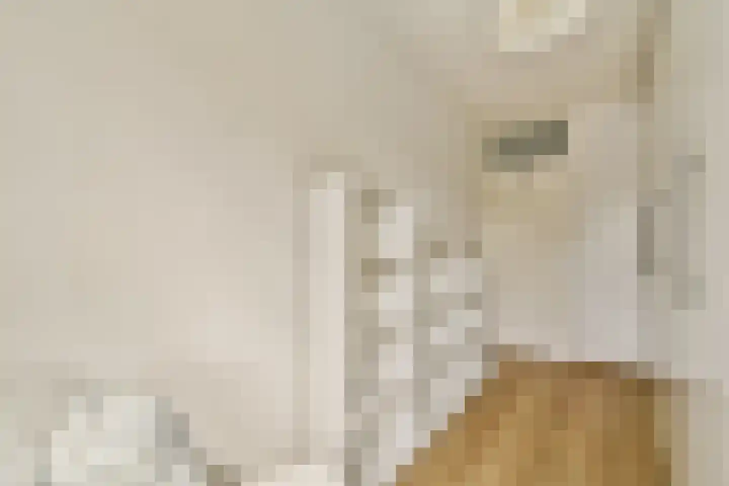 Loggerhof 33 Amsterdam thumbnail 17