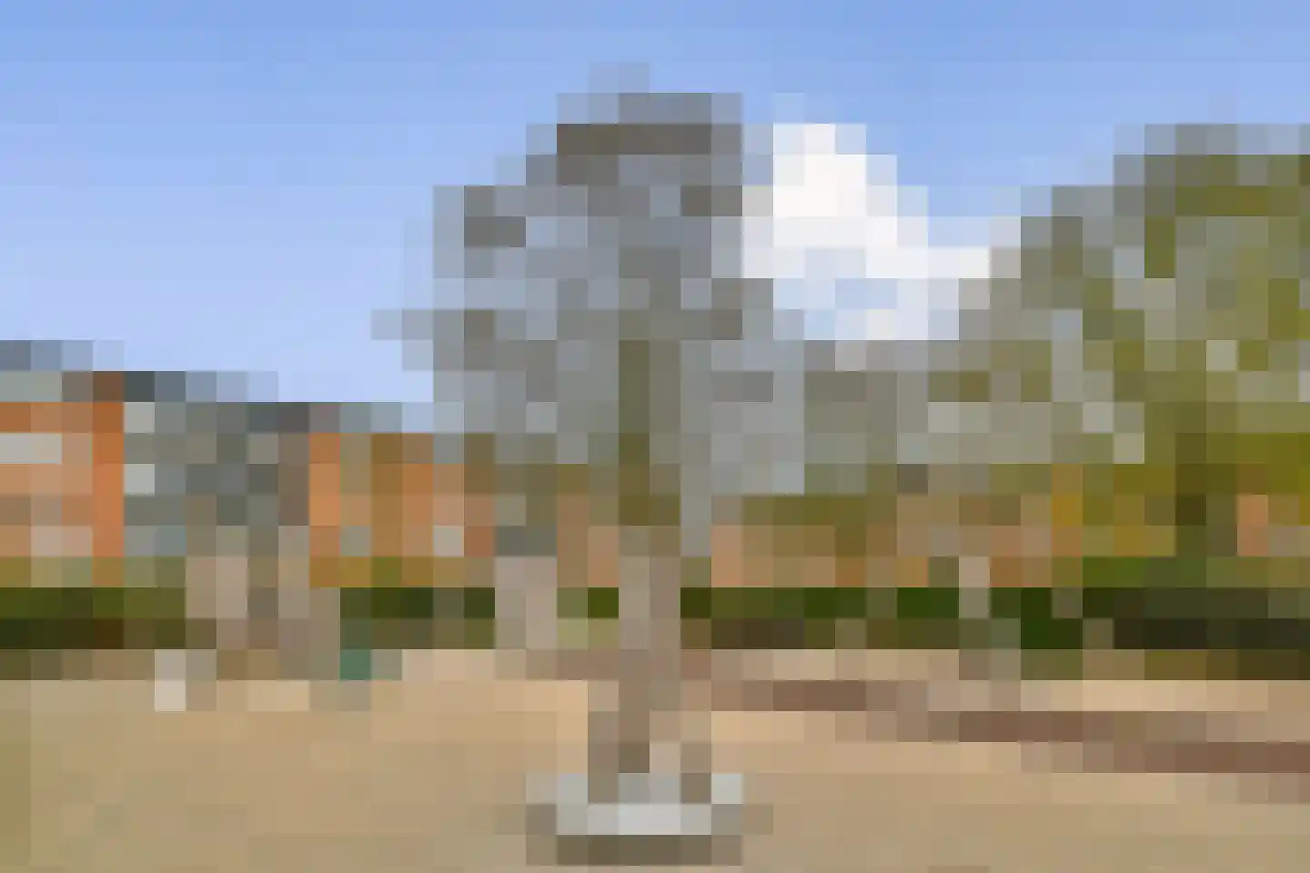 Loggerhof 33 Amsterdam thumbnail 21