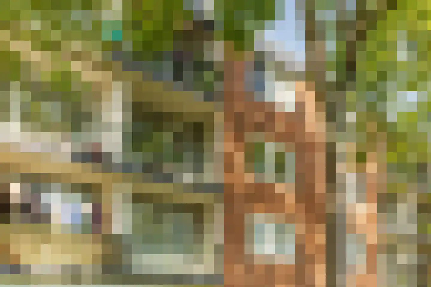 Loggerhof 33 Amsterdam thumbnail 22