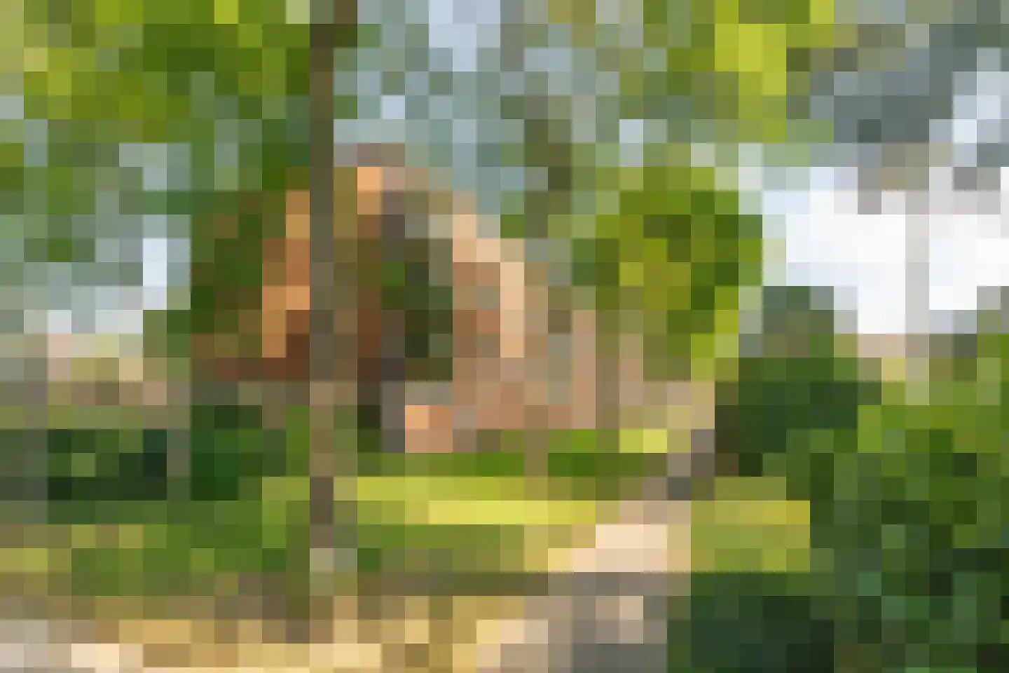 Loggerhof 33 Amsterdam thumbnail 23