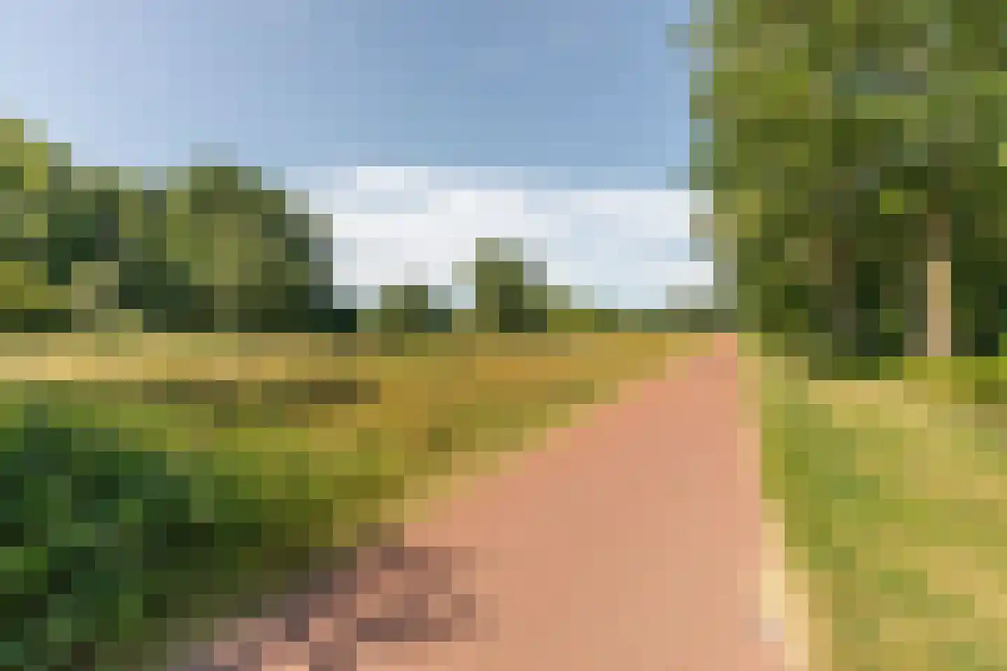 Loggerhof 33 Amsterdam thumbnail 24