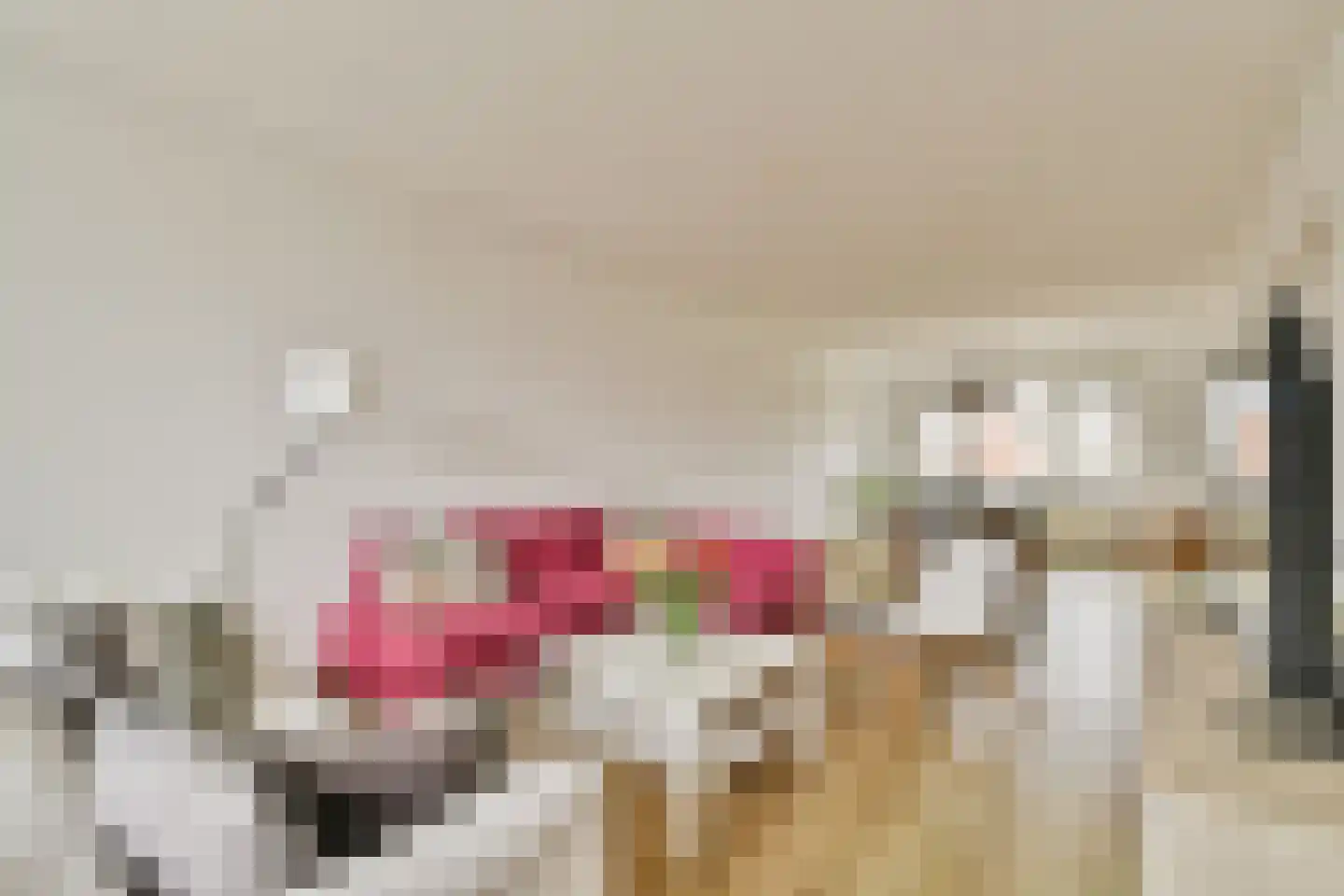 Loggerhof 33 Amsterdam thumbnail 7