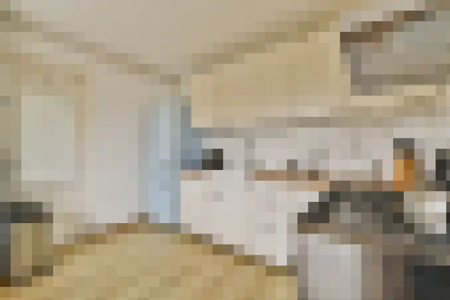 Loggerhof 33 Amsterdam thumbnail 9