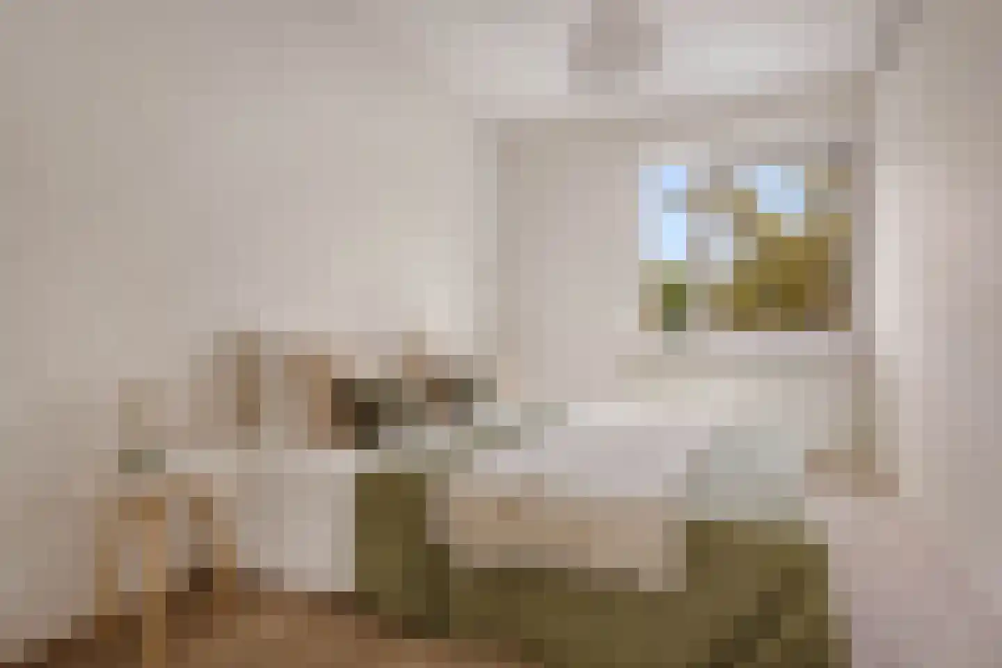 Loggerhof 55 Amsterdam thumbnail 12