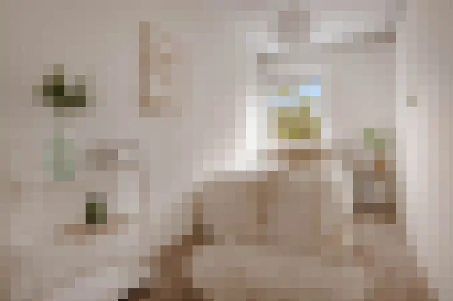 Loggerhof 55 Amsterdam thumbnail 14