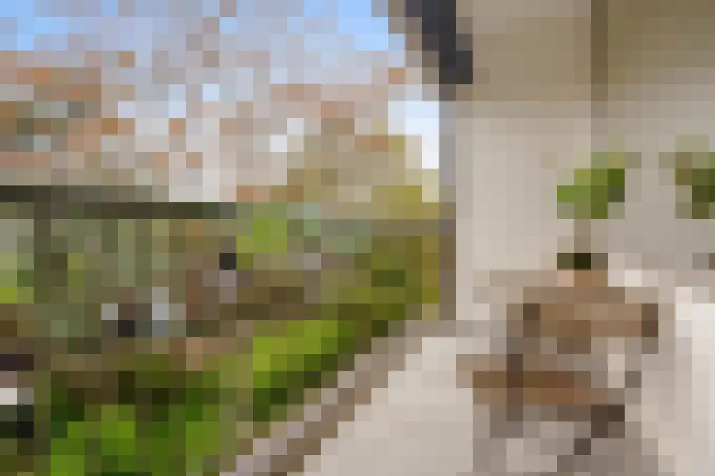 Loggerhof 55 Amsterdam thumbnail 19