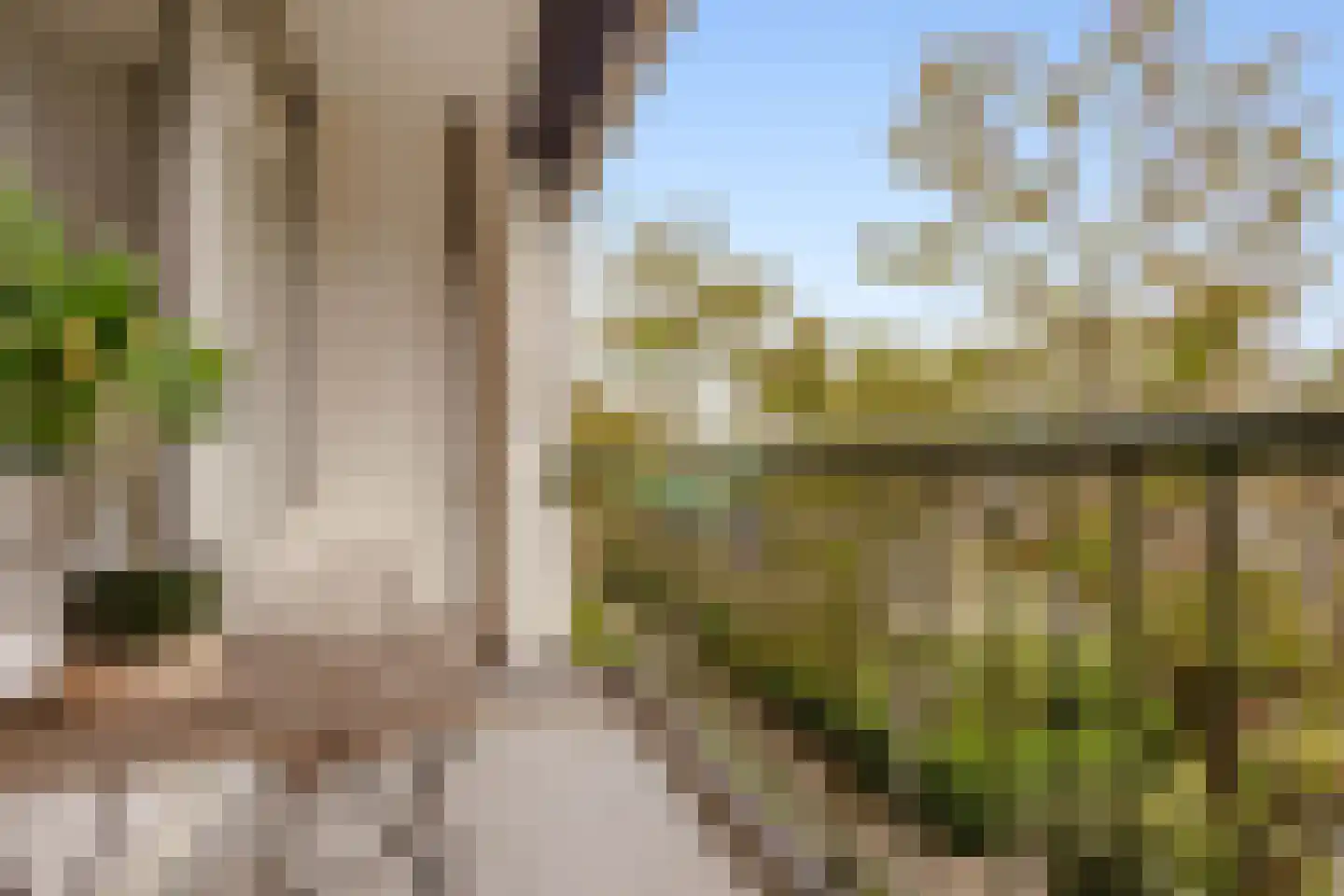 Loggerhof 55 Amsterdam thumbnail 20