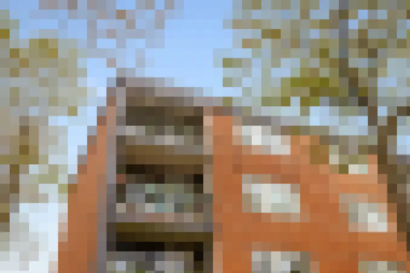 Loggerhof 55 Amsterdam thumbnail 22