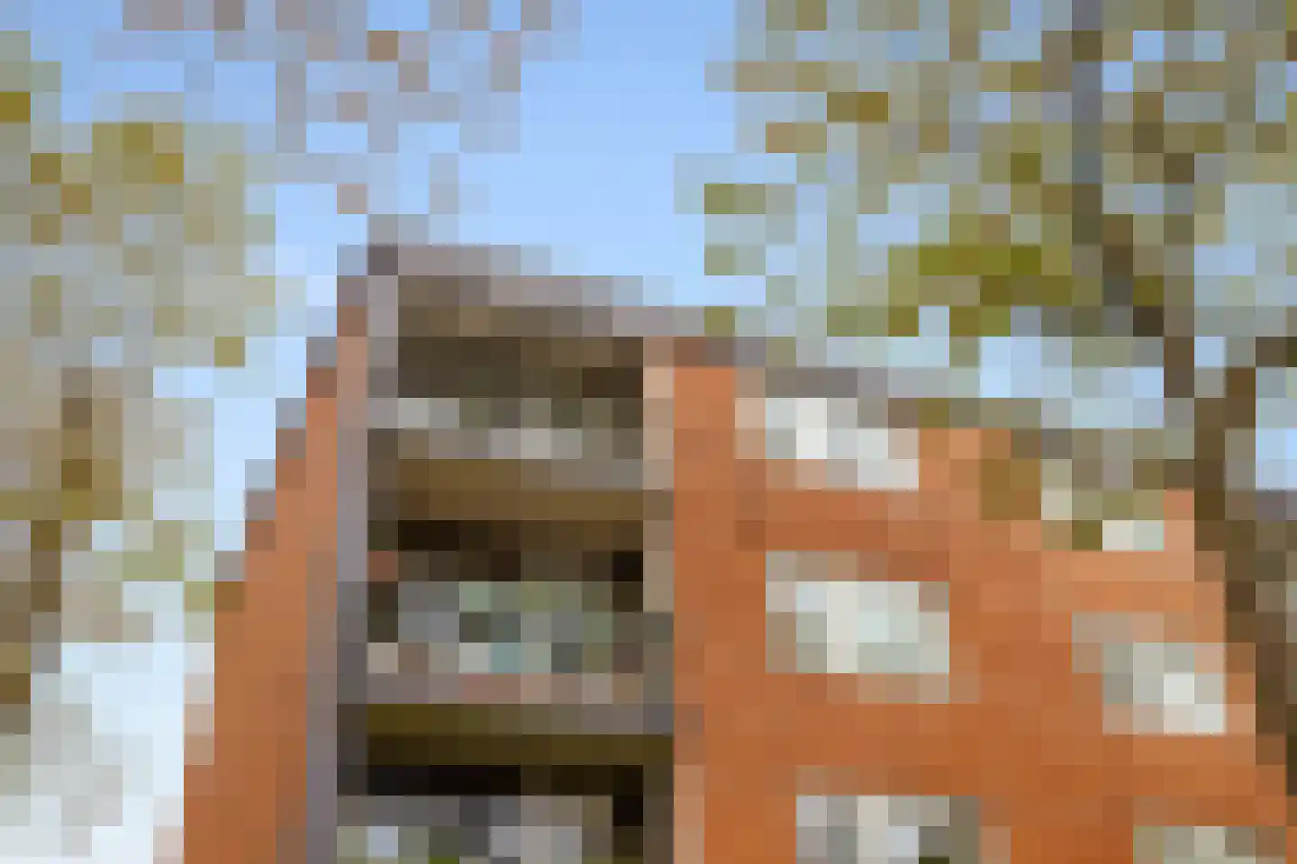 Loggerhof 55 Amsterdam thumbnail 24