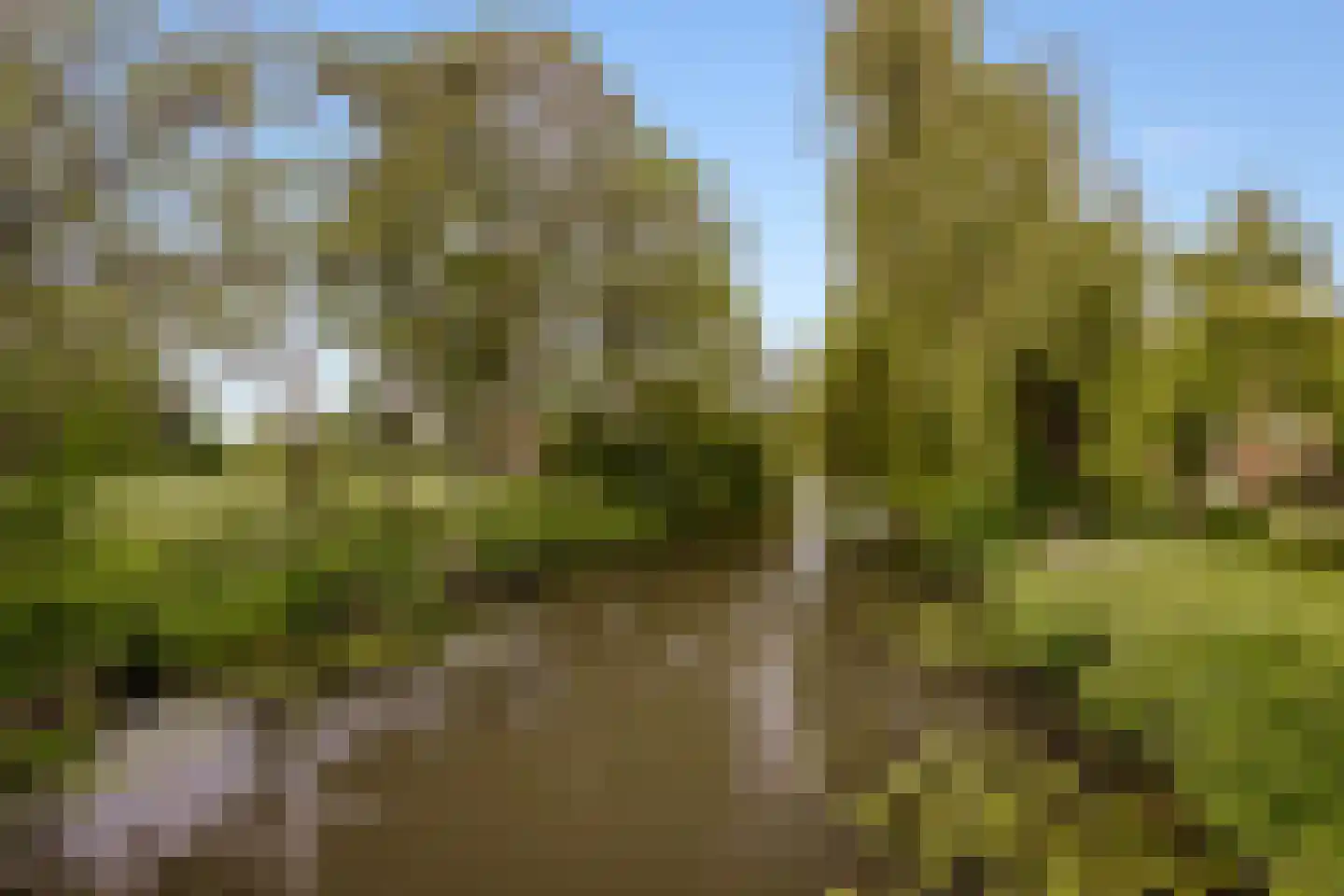 Loggerhof 55 Amsterdam thumbnail 25