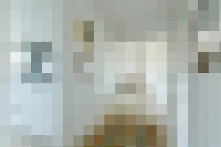 Loggerhof 89 Amsterdam thumbnail 10
