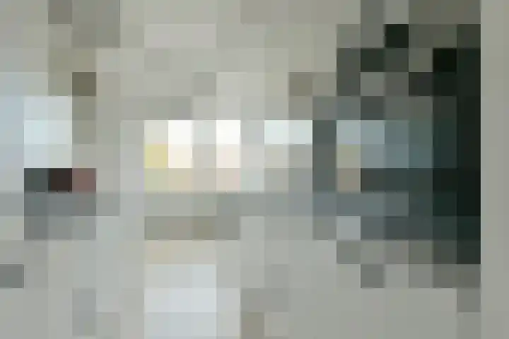 Loggerhof 89 Amsterdam thumbnail 11