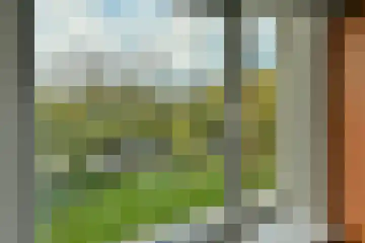 Loggerhof 89 Amsterdam thumbnail 17