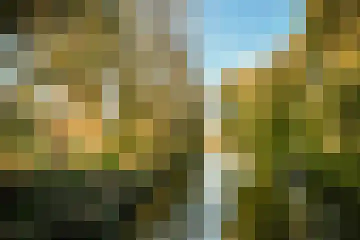 Loggerhof 89 Amsterdam thumbnail 21