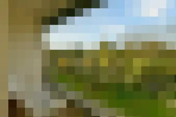 Loggerhof 89 Amsterdam thumbnail 7