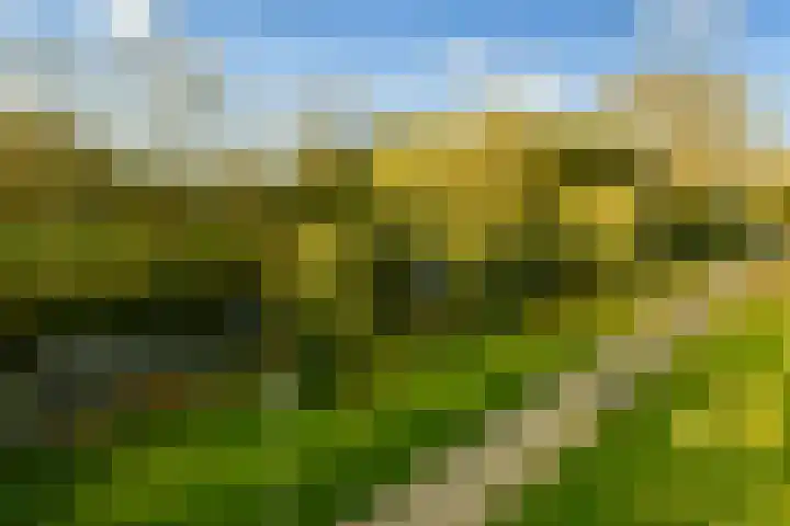 Loggerhof 89 Amsterdam thumbnail 8