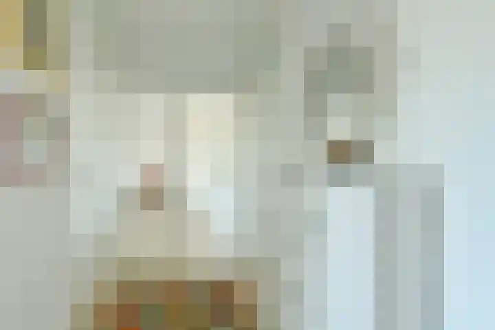 Loggerhof 89 Amsterdam thumbnail 9