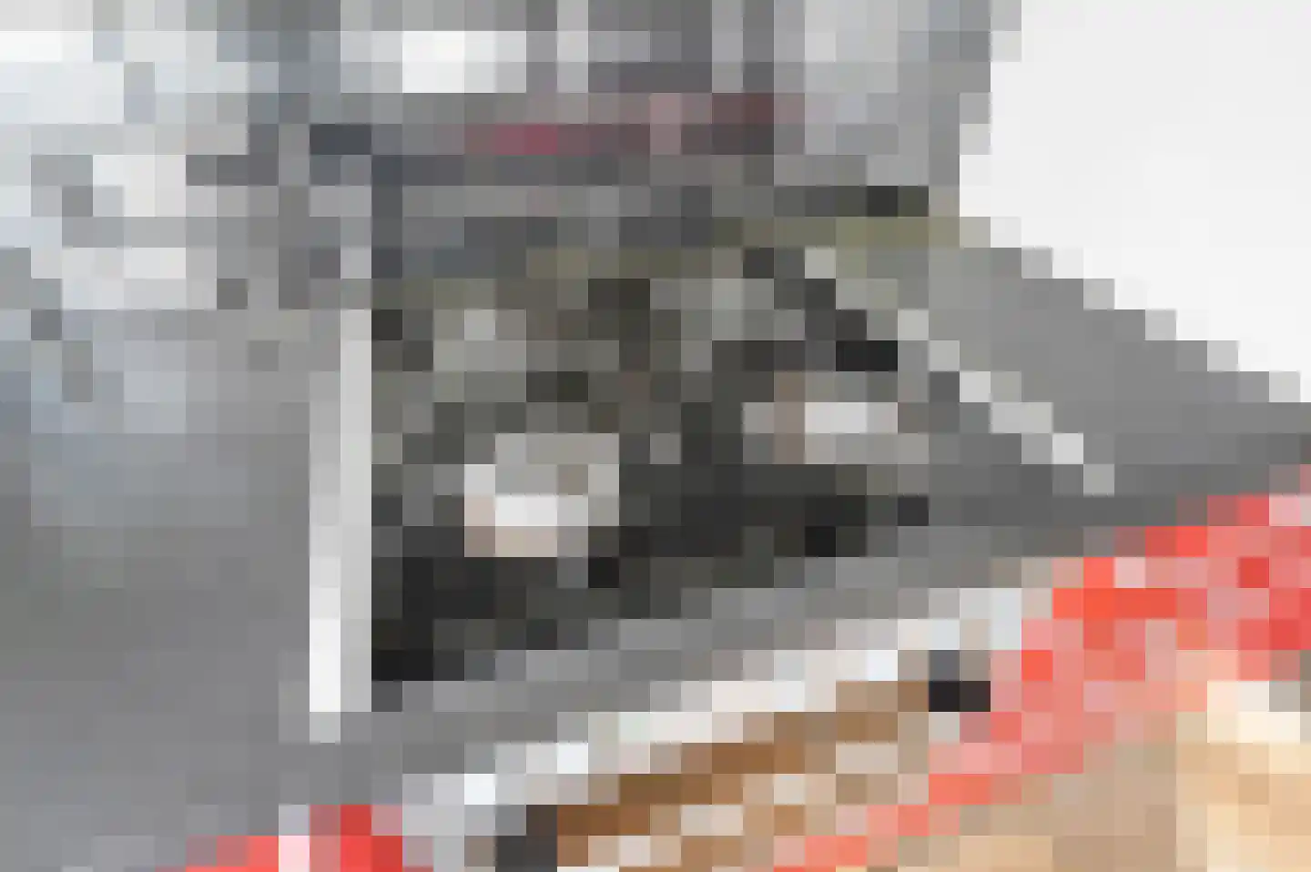 Loggerkade 11 Zoetermeer thumbnail 13