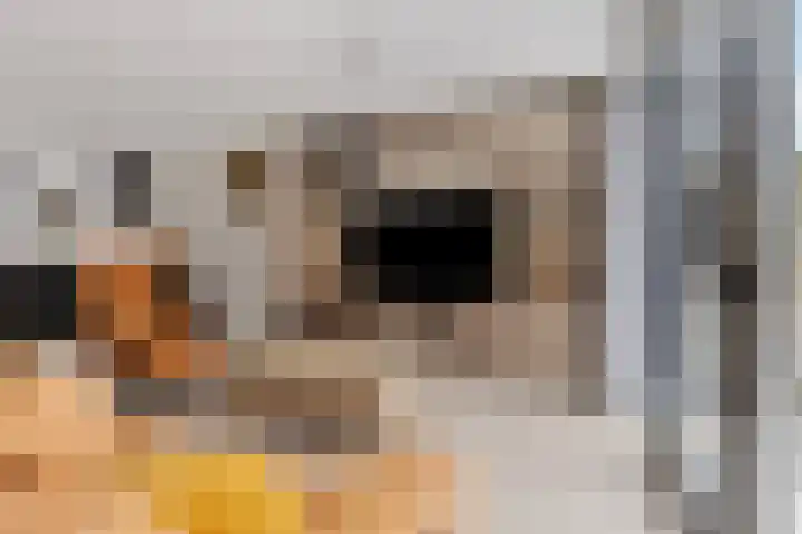 Loggerkade 25 Zoetermeer thumbnail 10