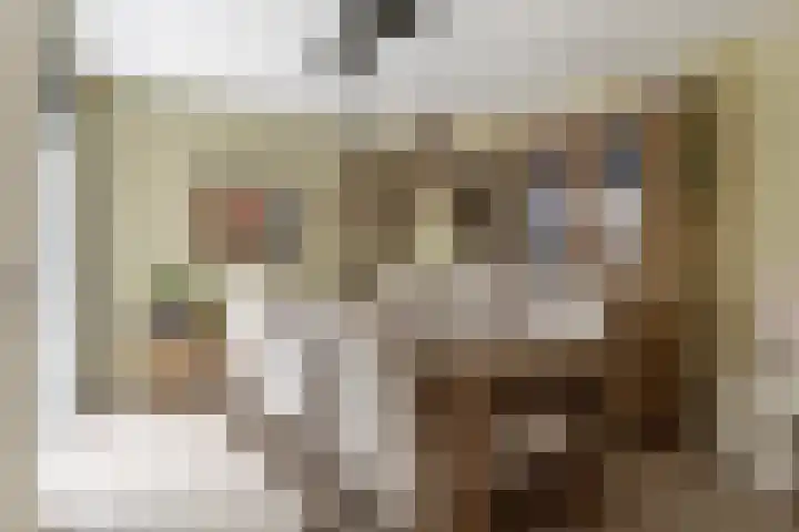 Loggerkade 25 Zoetermeer thumbnail 13
