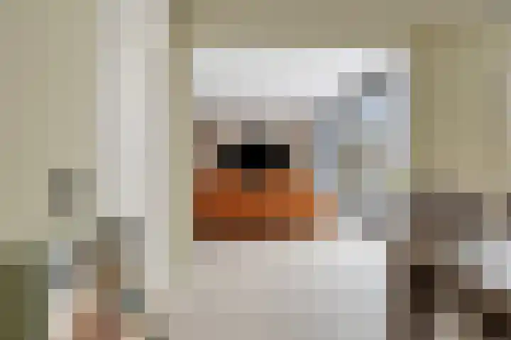 Loggerkade 25 Zoetermeer thumbnail 16