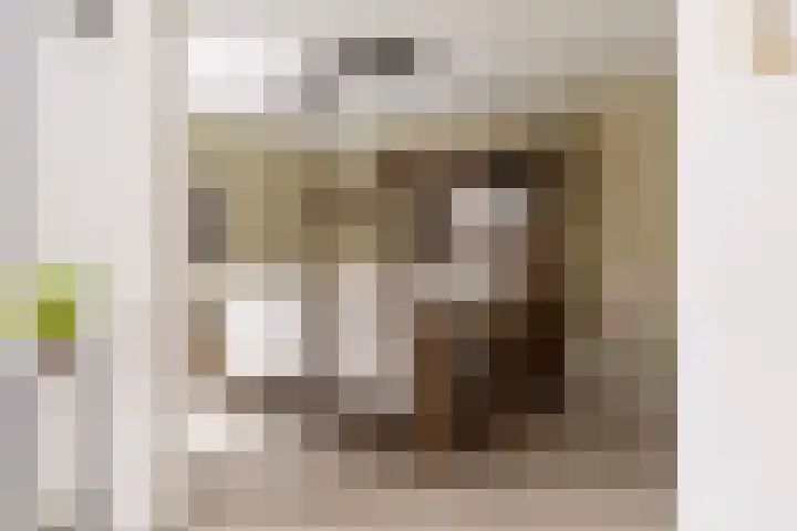 Loggerkade 25 Zoetermeer thumbnail 4