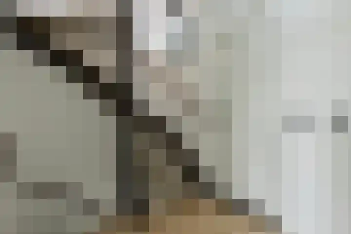 Loggerkade 25 Zoetermeer thumbnail 40