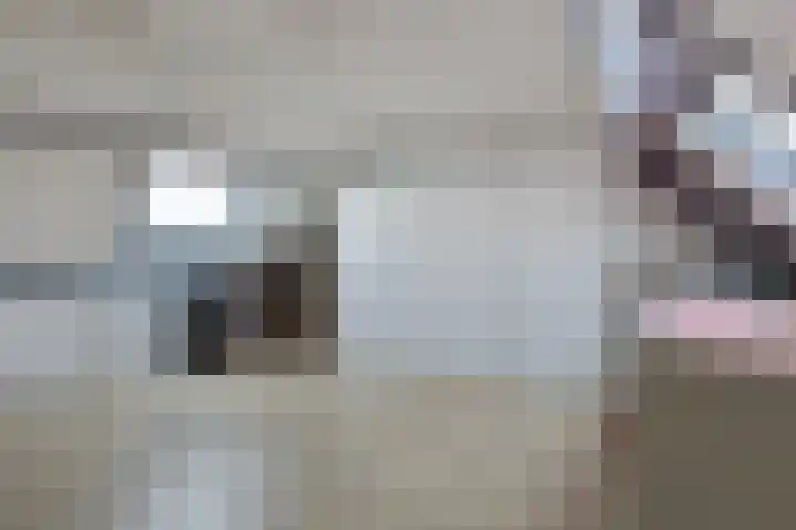Loggerkade 25 Zoetermeer thumbnail 41
