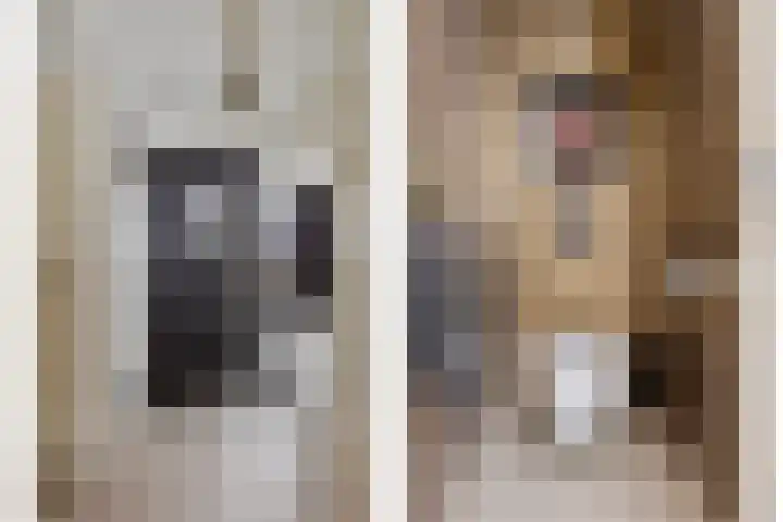 Loggerkade 25 Zoetermeer thumbnail 8