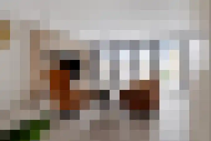 Loggerkade 25 Zoetermeer thumbnail 9