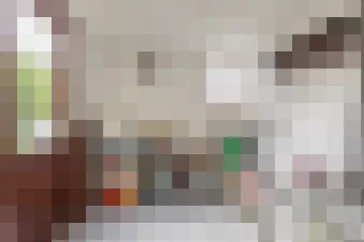 Loggerkade 47 Zoetermeer thumbnail 10