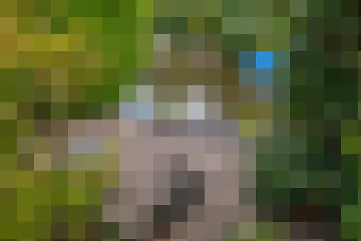 Loggerkade 47 Zoetermeer thumbnail 24