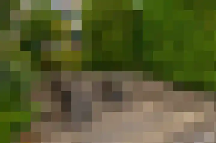 Loggerkade 47 Zoetermeer thumbnail 27