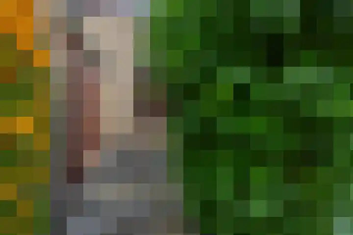 Loggerkade 47 Zoetermeer thumbnail 7