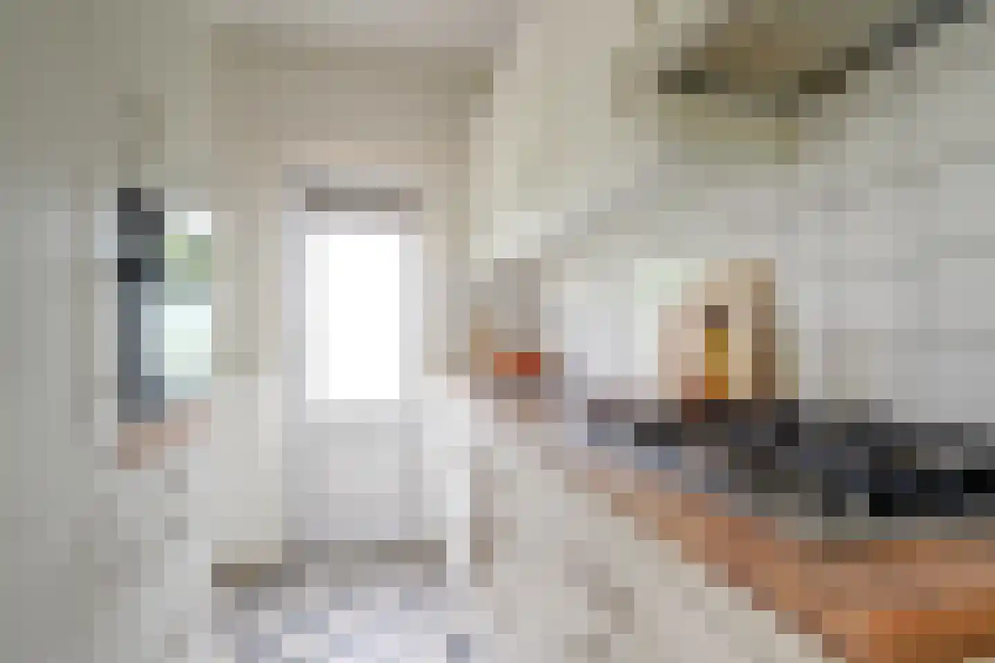 Loggerstraat 12 Utrecht thumbnail 18