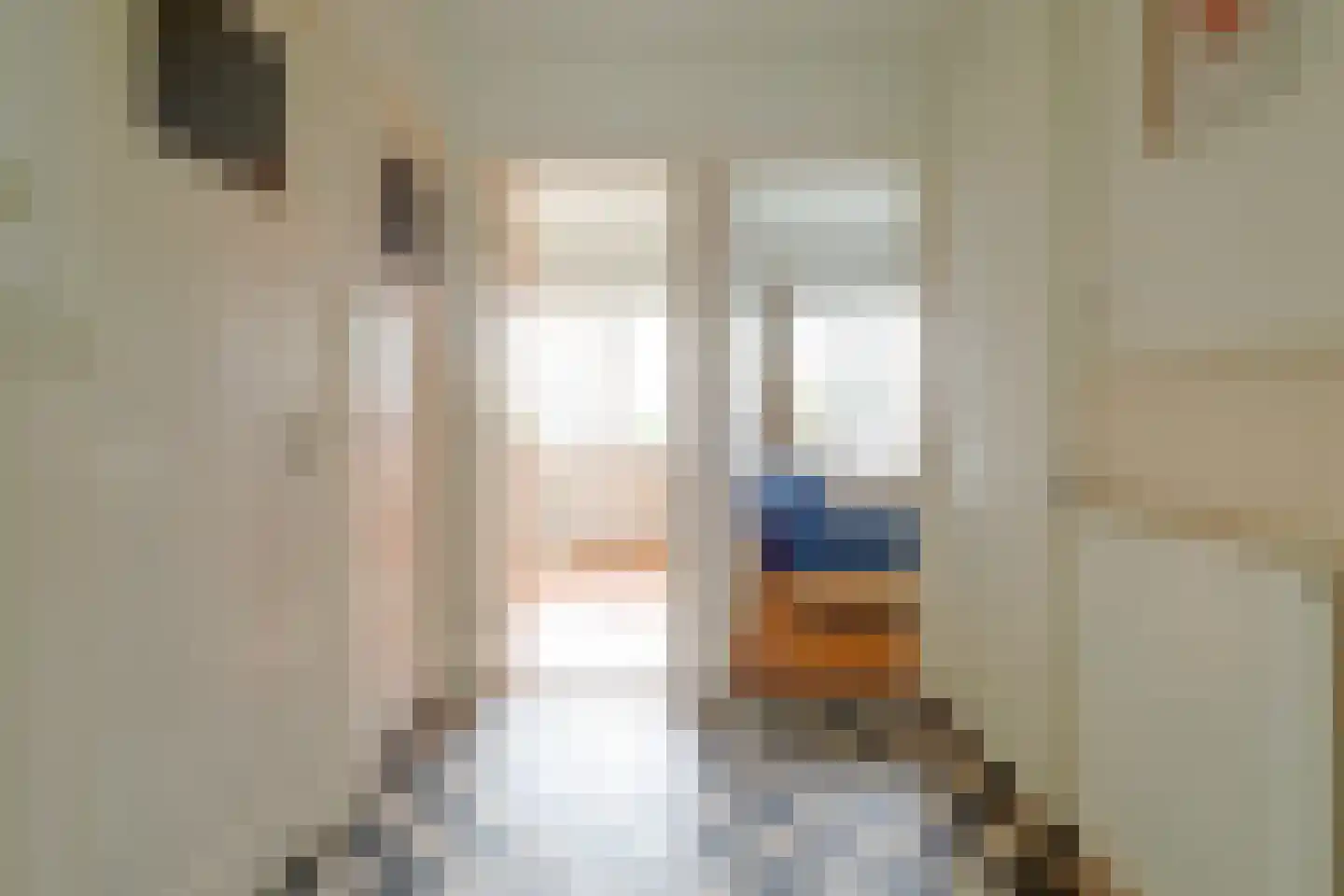 Loggerstraat 12 Utrecht thumbnail 33