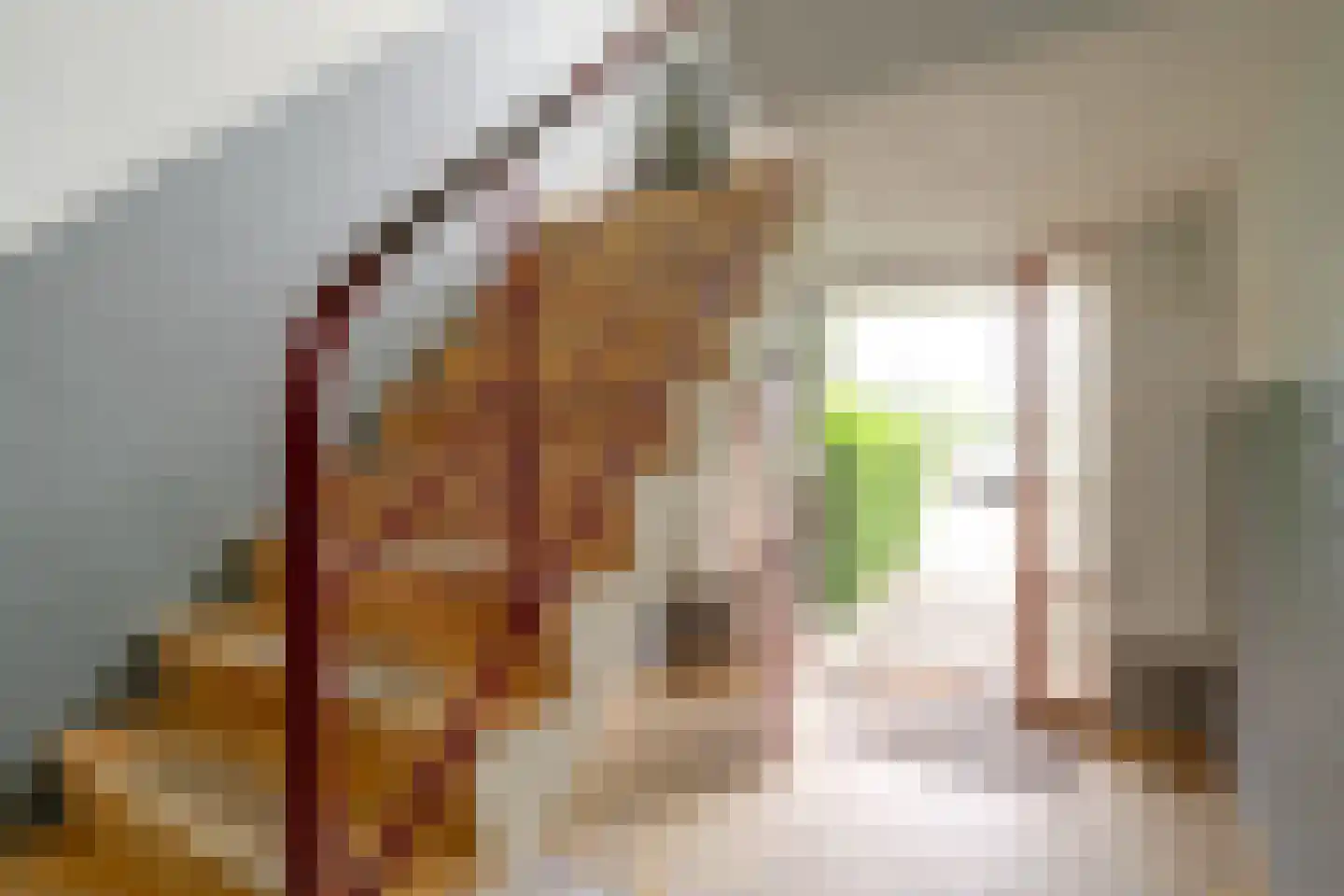 Loggerstraat 12 Utrecht thumbnail 41