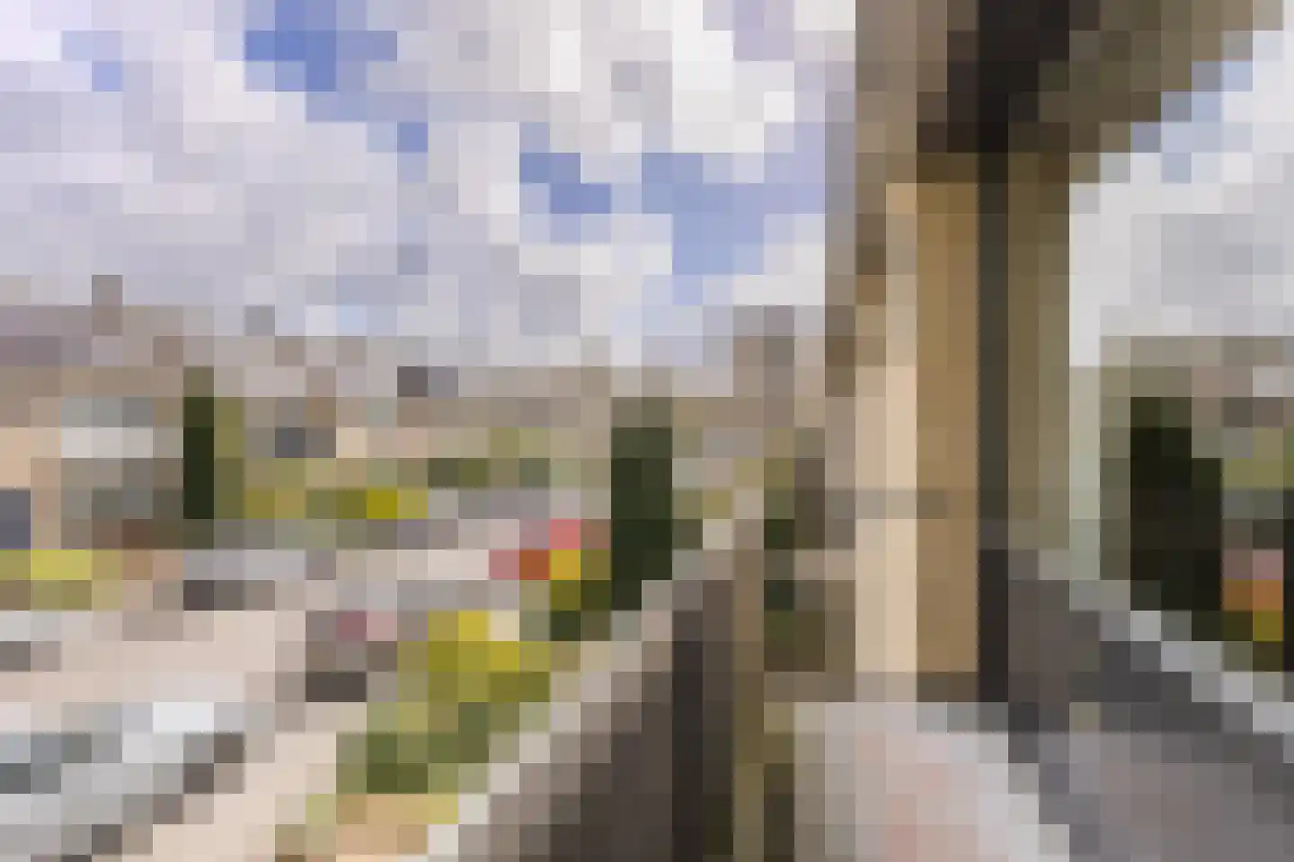 Loggerstraat 25 Zaandam thumbnail 20