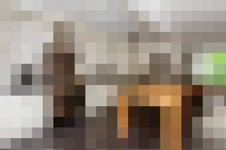 Loggerstraat 6 Nieuw-Lekkerland thumbnail 11